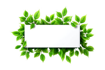 White rectangular card with green leaves around it on transparent background