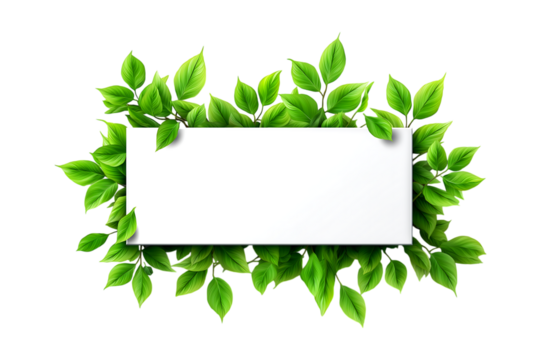 White rectangular card with green leaves around it on transparent background