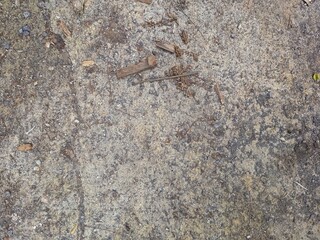 Grungy Concrete Surface with Natural Debris
