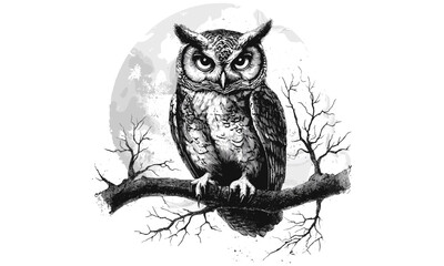 Monochrome owl sketch in vintage etching style, hand-drawn bird on branch, forest wildlife decor, black and white rustic nature art, night animal print, trendy nature illustration,