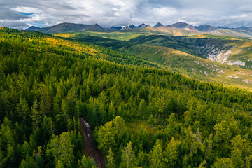 Beautiful autumn landscape with yellow trees Altai mountains, Siberia, Russia. Aerial top view photo