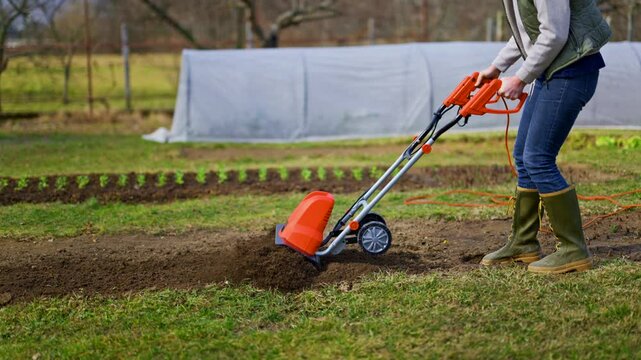 Woman preparing garden beds for planting. Rotovator, garden tiller, rotary tiller or mini cultivator. Cultivators break up compacted soil, improve its structure and aeration.