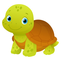 Vector cartoon image of turtle. Animal concept for children's illustrations, articles, books. Zoo, circus. Element for your design.