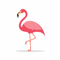 https://chatgpt.com/c/682b2df7-a820-800c-9ea6-cce0e32f55bc#:~:text=Cute%20Flamingo%20Simple%20Vector%20%E2%80%93%20Minimal%20Flat%20Style%20Pink%20Bird%20Illustration%20Clipart%20Design