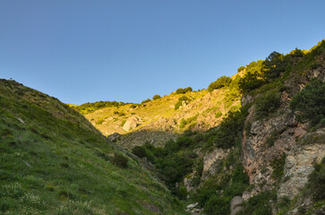 rocks and vegetation on the slopes of Solak mountain near Bjni (Kotayk province, Armenia)