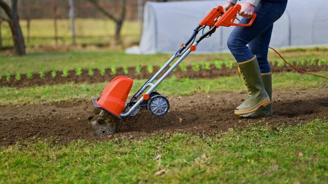 Woman preparing garden beds for planting. Rotovator, garden tiller, rotary tiller or mini cultivator. Cultivators break up compacted soil, improve its structure and aeration.