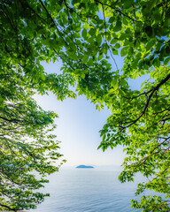 Fresh green leaves framing a peaceful ocean view with distant island