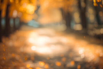Landscape shot of trees with out-of-focus bokeh background in a park