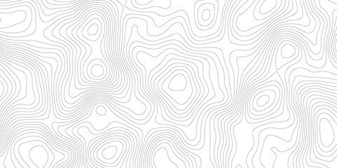 Abstract Topographic map background with wave line. White wave paper curved reliefs abstract background. Vector illustration. wave Line topography map contour background.