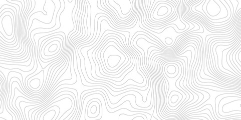 Abstract Topographic map background with wave line. White wave paper curved reliefs abstract background. Vector illustration. wave Line topography map contour background.