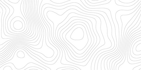 Abstract Topographic map background with wave line. White wave paper curved reliefs abstract background. Vector illustration. wave Line topography map contour background.