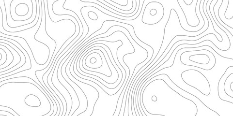 Abstract Topographic map background with wave line. White wave paper curved reliefs abstract background. Vector illustration. wave Line topography map contour background.