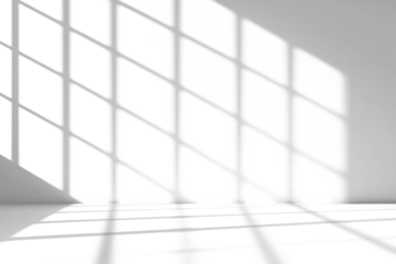 shadow overlay effects of realistic window and tree branch shadow with light blur on transparent background,Summer sunlight and dappled shadow overlay effect