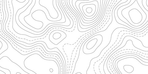 Abstract Topographic map background with wave line. White wave paper curved reliefs abstract background. Vector illustration. wave Line topography map contour background.