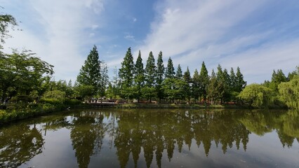 경주 천년 숲정원