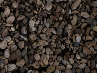 It's beautifully crafted from multi-colored sea pebbles Small, wet stones in various shades of gray and brown cover the ground creating a natural textured backdrop perfect for nature-themed projects.
