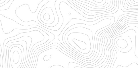 Abstract Topographic map background with wave line. White wave paper curved reliefs abstract background. Vector illustration. wave Line topography map contour background.