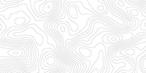 Abstract Topographic map background with wave line. White wave paper curved reliefs abstract background. Vector illustration. wave Line topography map contour background.