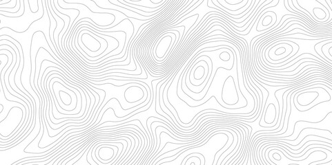 Abstract Topographic map background with wave line. White wave paper curved reliefs abstract background. Vector illustration. wave Line topography map contour background.