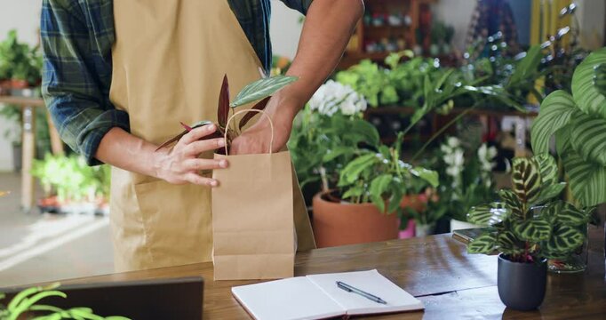 Shopping in flower store. Florist manager working in floral greenhouse. Close up hands man florist worker packs in paper bag and selling house plant in flower shop. People and business concept.