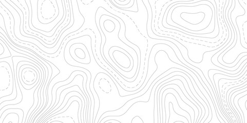 Abstract Topographic map background with wave line. White wave paper curved reliefs abstract background. Vector illustration. wave Line topography map contour background.
