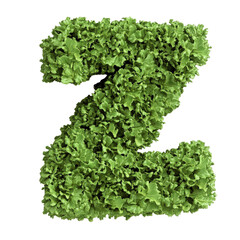 Obraz premium Letter Z made of fresh green leafy lettuce vegetables for healthy eating or organic food concept