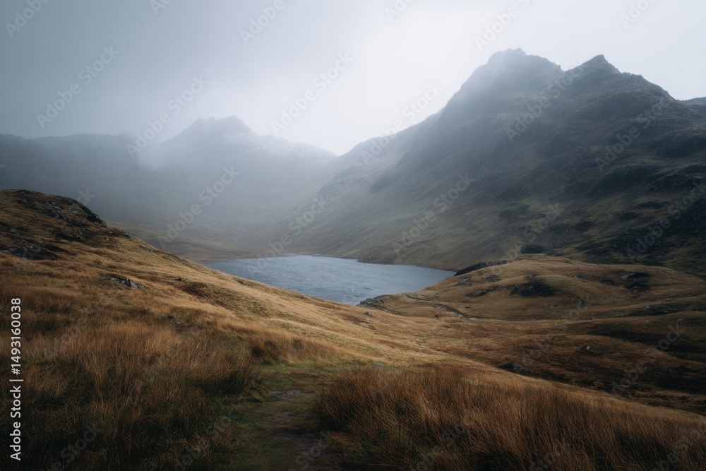 Poster misty lake surrounded by mountains and golden grass, evoking tranquility and solitude for travel and
