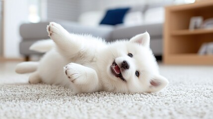 Adorable White Puppy Playing on Carpet