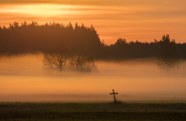 Poranek nad Biebrzą