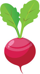 Radish