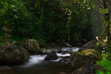 Natural Beauty of Tropical Green Forests with Mountains and Waterfalls in Indonesia