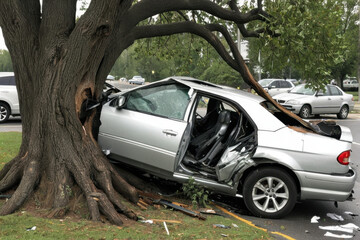 A vehicle has collided with a tree, causing damage and potentially harm