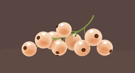 Cluster Of Pale Orange Currants On Dark Background