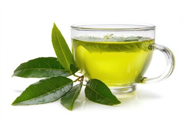 A cup of freshly brewed green tea sits beside a sprig of fresh green tea leaves.
