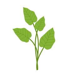 Simple green leaf plant illustration 