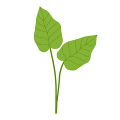 Simple green leaf plant illustration 