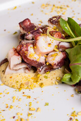Polpo all'insalata condito con olio e granella di pistacchio servito con contorno di insalata su un letto di patate in un ristorante elegante