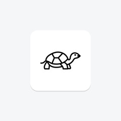 Marginated Tortoise, vector, pixel perfect, illustrator file