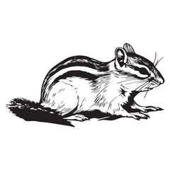 Chipmunk silhouette vector illustration