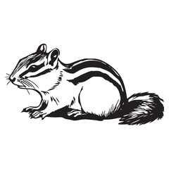 Chipmunk silhouette vector illustration