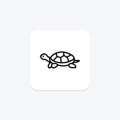 Diamondback Terrapin, vector, pixel perfect, illustrator file