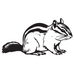 Chipmunk silhouette vector illustration