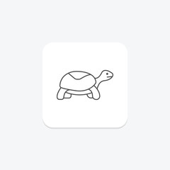 Box Turtle, vector, pixel perfect, illustrator file