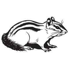 Chipmunk silhouette vector illustration