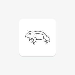 African Dwarf Frog, vector, pixel perfect, illustrator file