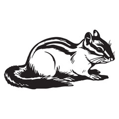Chipmunk silhouette vector illustration