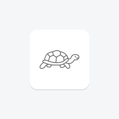 Russian Tortoise, vector, pixel perfect, illustrator file