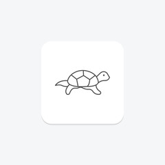 Pond Turtle, vector, pixel perfect, illustrator file