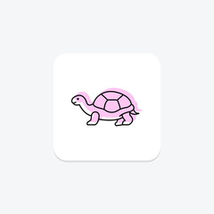 Sulcata Tortoise, vector, pixel perfect, illustrator file