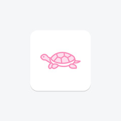 Fototapeta premium Diamondback Terrapin, vector, pixel perfect, illustrator file